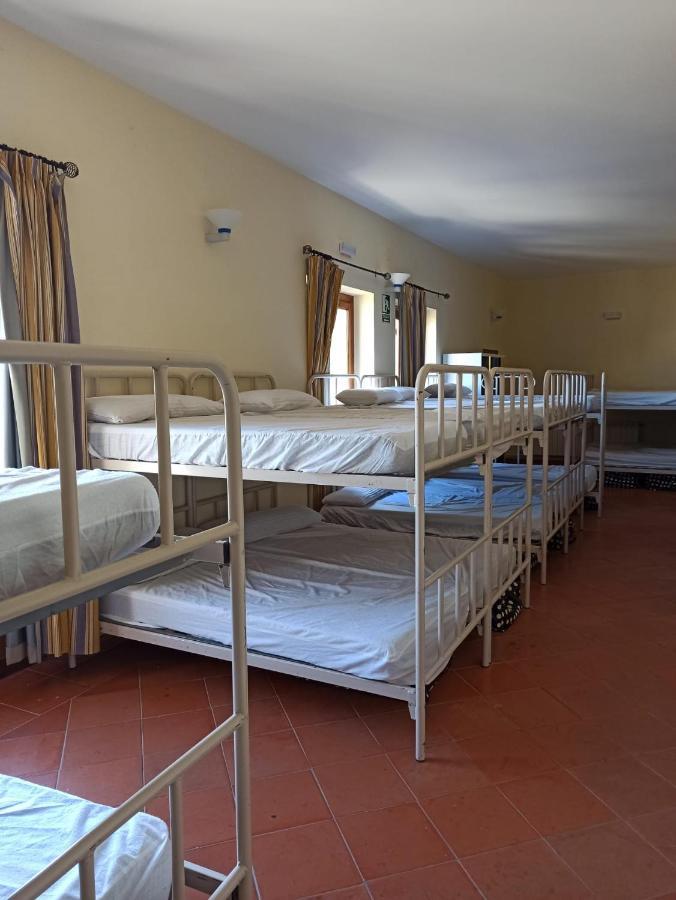 Albergue De Sos del Rey Católico Eksteriør bilde